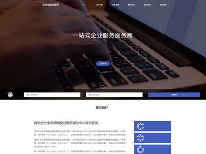 咨詢顧問商業(yè)服務(wù)網(wǎng)站設(shè)計(jì)-案例